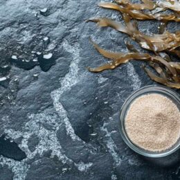 Fucoidan là gì – tảo nâu Mekabu và Mozuku Nhật Bản, nguồn chiết xuất fucoidan