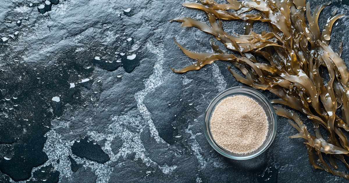 Fucoidan là gì – tảo nâu Mekabu và Mozuku Nhật Bản, nguồn chiết xuất fucoidan
